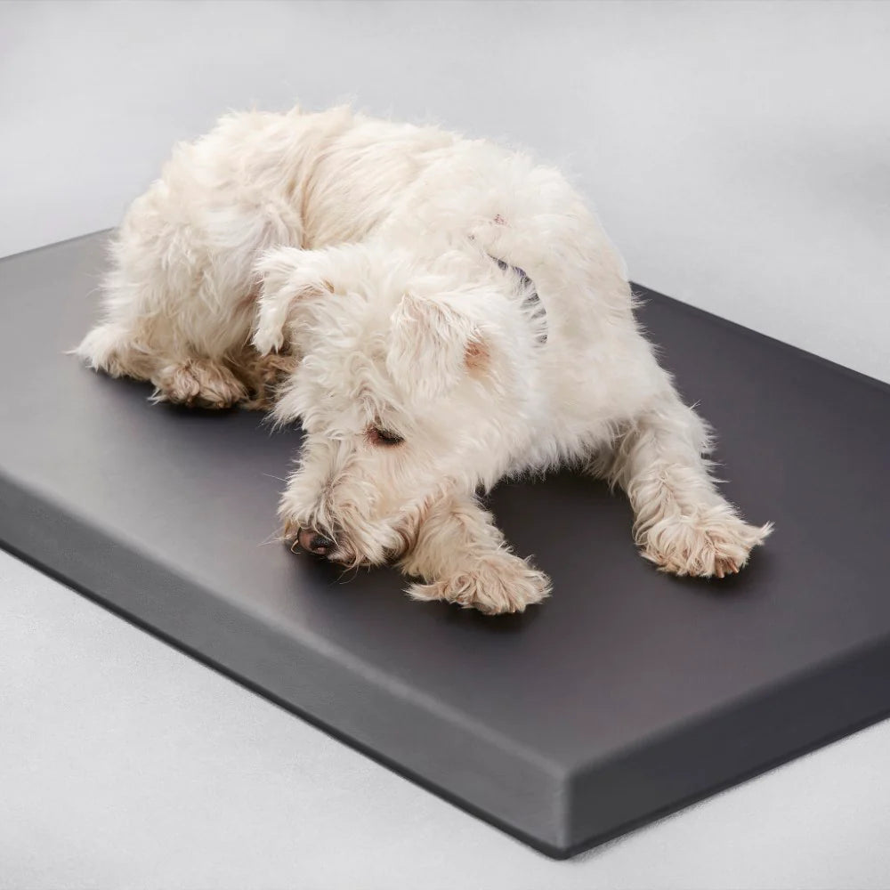 Floor Mat for Dog Crate Consolidated Plastics