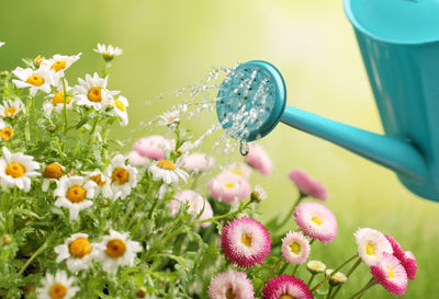 Flower Watering Can