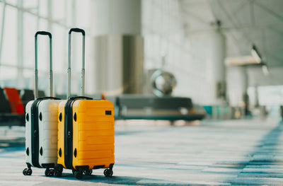 Zip Ties for Luggage