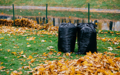 Trash Bags for Leaves: Our Guide