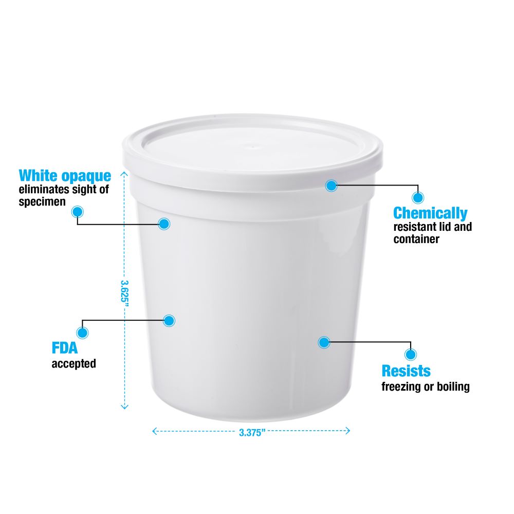 White Disposable Containers # 16 Oz. - Case of 100