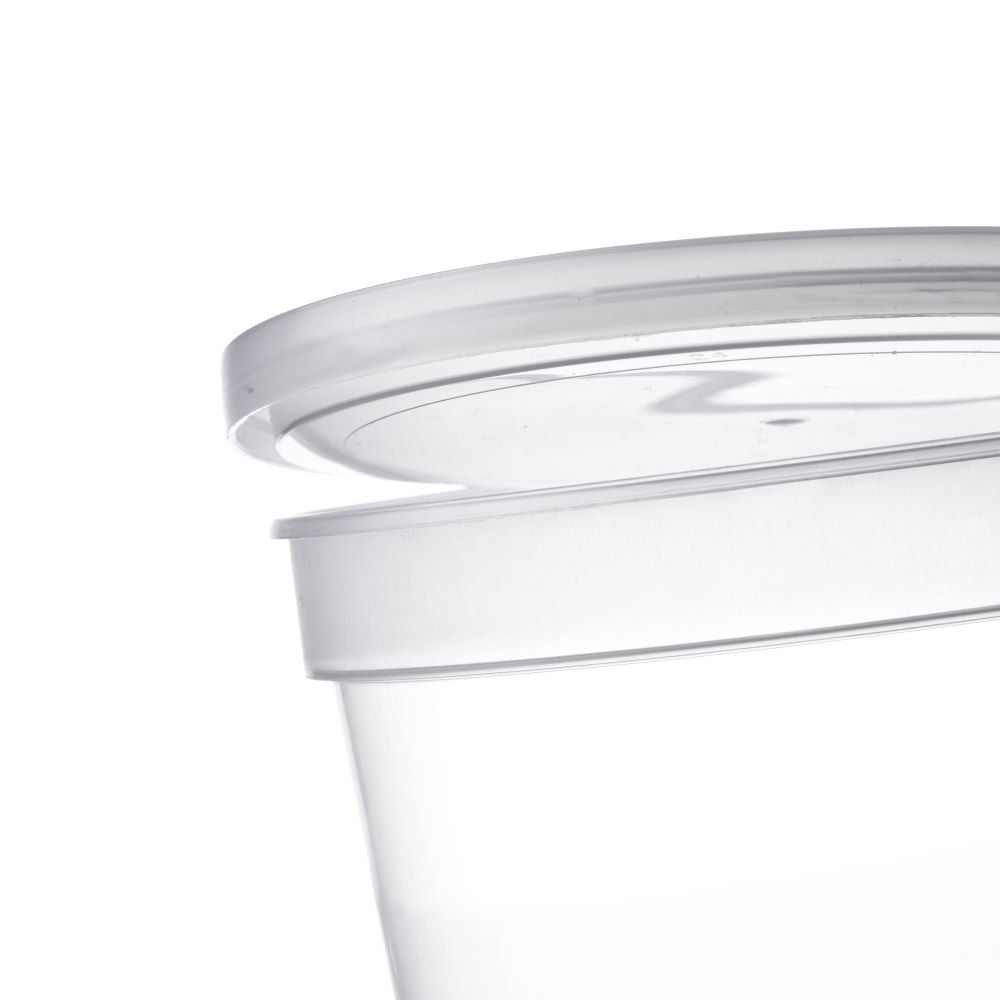 Economical Containers With Recessed Lids # 32 Oz. Case of 500 ...